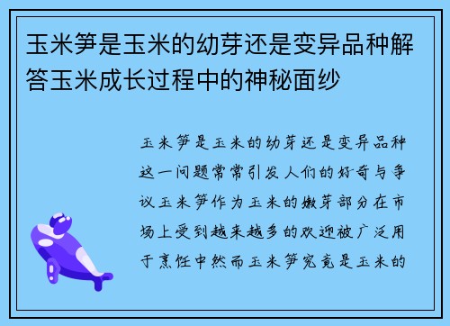 玉米笋是玉米的幼芽还是变异品种解答玉米成长过程中的神秘面纱
